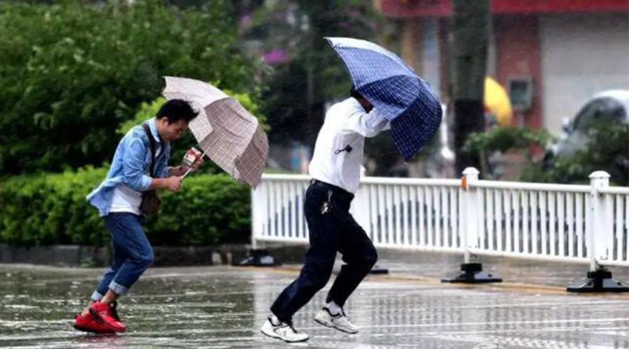 9號臺風“馬鞍”生成！金環(huán)電器提醒大家要注意的事項