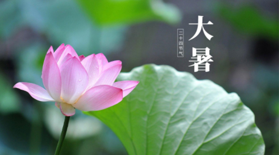 大暑時節(jié)！金環(huán)電器提醒大家注意這些干衣細節(jié)