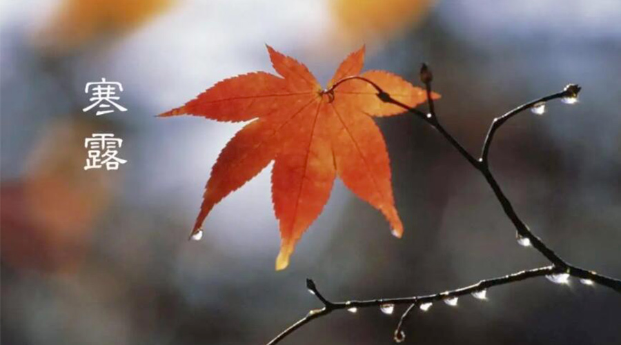 寒露時(shí)節(jié)！金環(huán)電器提醒大家要注意的事項(xiàng)