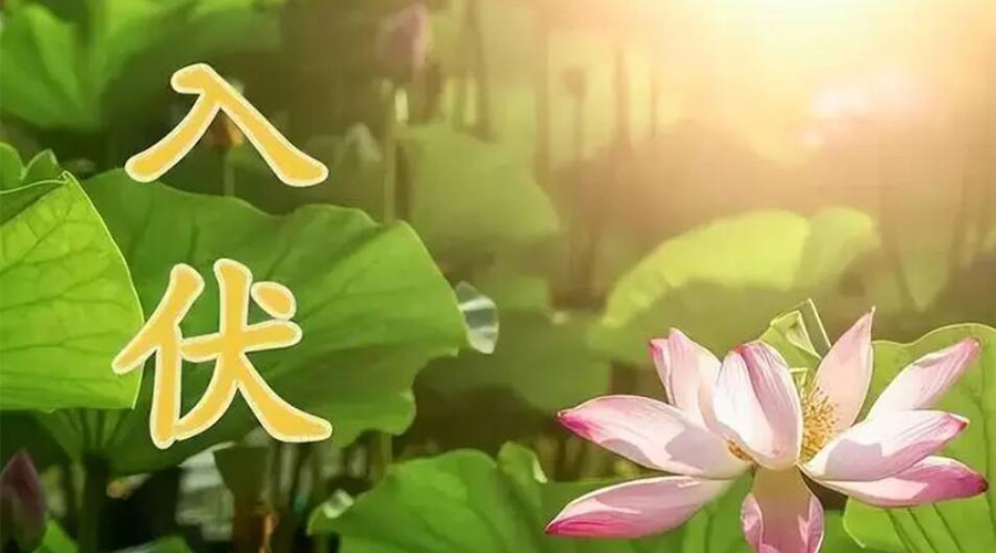 入伏天來襲！金環(huán)電器提醒大家要注意的事項