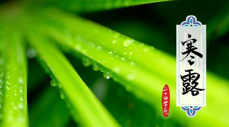 寒露時節(jié)到！金環(huán)電器提醒這些干衣事項要注意