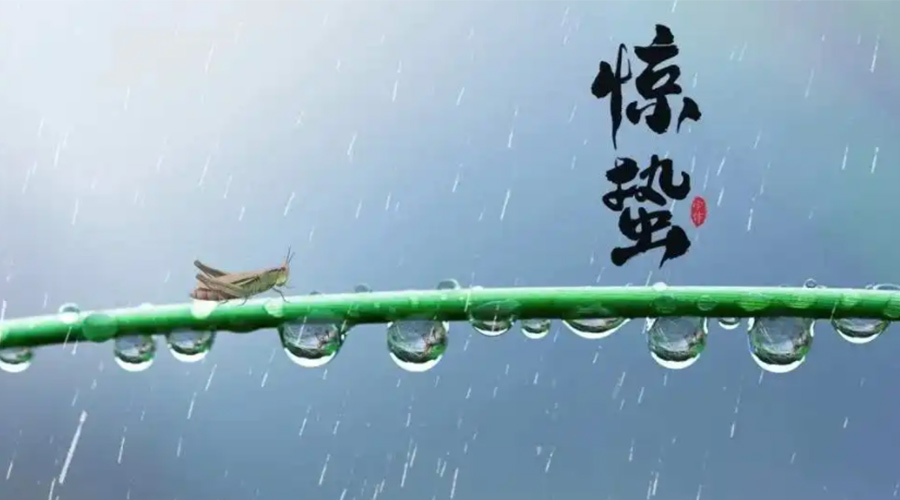 驚蟄時節(jié)！金環(huán)電器提醒大家干衣要注意這些