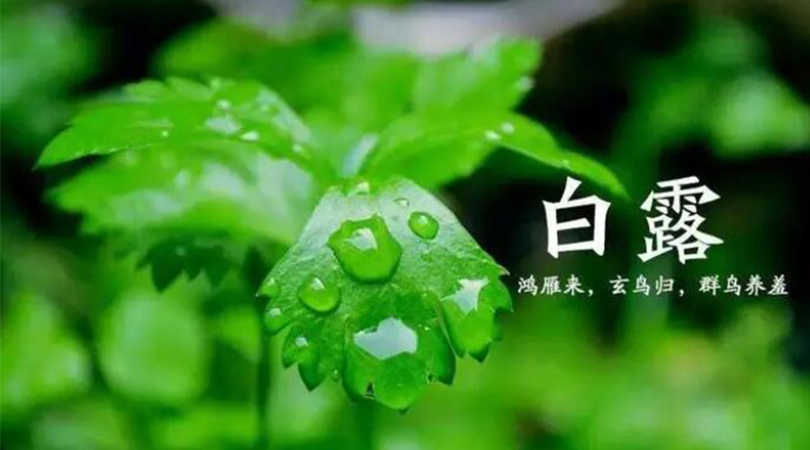 白露時節(jié)！金環(huán)電器提醒大家要注意的事項(xiàng)