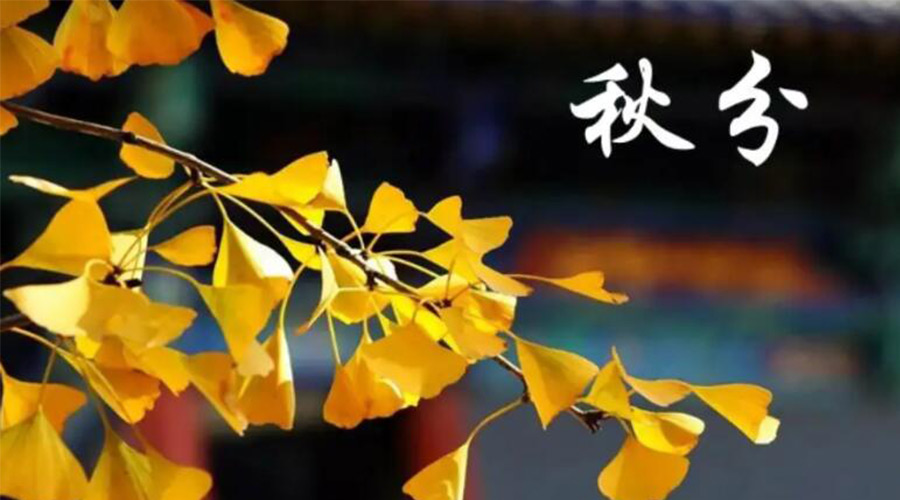 秋分時節(jié)！金環(huán)電器提醒大家要注意的事項(xiàng)