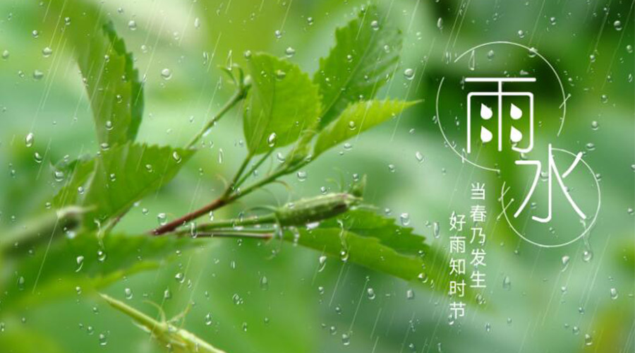 雨水時(shí)節(jié)！金環(huán)電器提醒大家要注意的事項(xiàng)